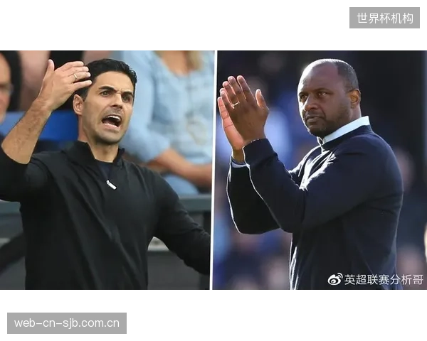 克里斯·理查兹在水晶宫获得稳定出场时间，他与蒂姆·里姆的中卫搭档默契度将是防守关键。